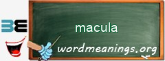 WordMeaning blackboard for macula